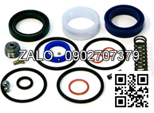 Bộ sin phốt xe nâng tay