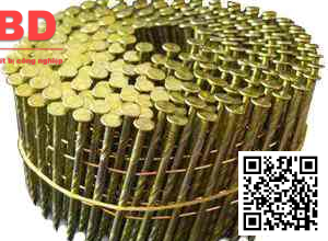 Đinh Cuộn ( Đinh Pallet ) , Đinh Kim Xuân - Tập Đàon