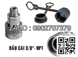 Khớp nối Larzep Female 3/8''-NPT