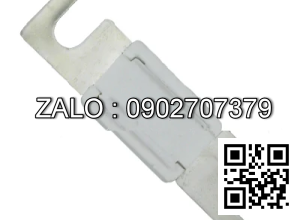 Fuse 80V300A