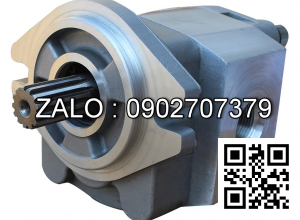 Hydraulic Pump 15807-10302 FD80-100Z7