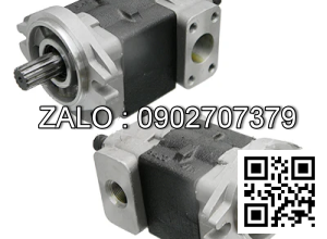 Hydraulic Pump 130G7-11441 FD80-100Z8