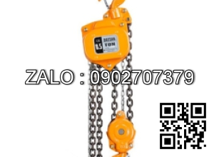 Palang xích 0.5T x 2.5M - DSN0.5, DAESAN