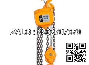 Palang xích 1.0T x 2.5M - DSN1, DAESAN