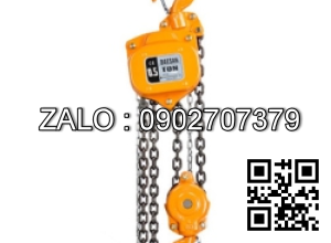 Palang xích 3.0T x 3M - DSN3, DAESAN