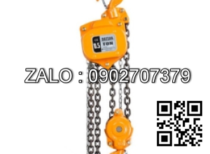 Palang xích 5.0T x 3M - DSN5, DAESAN