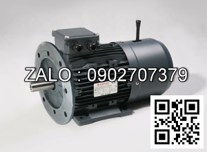 Motor giảm tốc WANSHSIN mặt bích 2 HP 1550W đầu cốt lòi 50mm , tỉ số truyền 120-200