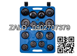 Bộ cảo lược nhớt Kingtony 9AE2016