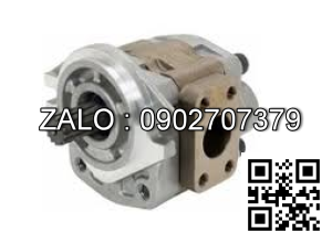 Bơm thủy lực SGP2B-48A1H11-LBơm 13 răng trục D22, mặt định vị 101.6mm