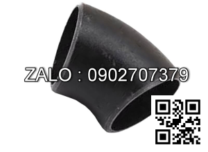 Co hàn 45° ( co lơi ) SCH10 mạ kẽm DN200