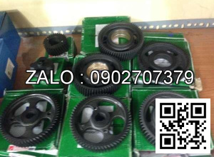 Bộ nhông đầu động cơ A498BT Xinchai