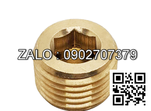 Ốc Nhét Nước Lục Giác Bằng Đồng Ren PT 1/16