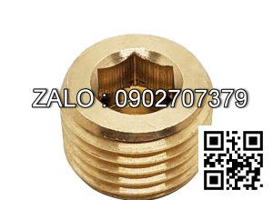 Ốc Nhét Nước Lục Giác Bằng Đồng Ren PT 1/2