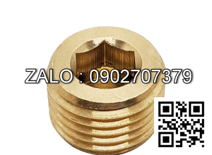 Ốc Nhét Nước Lục Giác Thép Đen Ren PT 1/8