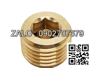 Ốc Nhét Nước Lục Giác Thép Đen Ren PT 3/4