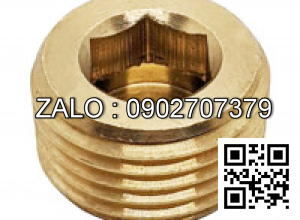 Ốc Nhét Nước Thép Đen 5.8 DIN906 M8x1.0