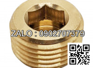 Ốc Nhét Nước Thép Đen 5.8 DIN906 M16x1.5