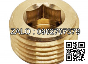 Ốc Nhét Nước Thép Đen 5.8 DIN906 M18x1.5