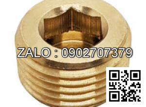 Ốc Nhét Nước Thép Đen 5.8 DIN906 M20x1.5