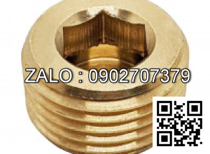 Ốc Nhét Nước Thép Đen 5.8 DIN906 M22x1.5