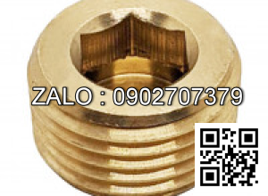 Ốc Nhét Nước Thép Đen 5.8 DIN906 M24x1.5