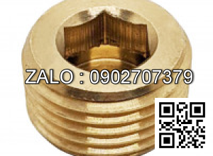 Ốc Nhét Nước Thép Đen 5.8 DIN906 M30x1.5