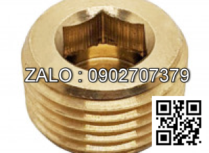 Ốc Nhét Nước Inox 304 DIN906 M12x1.5