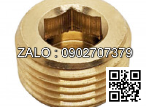 Ốc Nhét Nước Inox 304 DIN906 M20x1.5