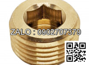 Ốc Nhét Nước Inox 304 DIN906 M26x1.5