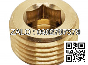 Ốc Nhét Nước Inox 304 DIN906 M30x1.5