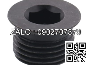 Screw Plugs Type Washer Face - Short M12x10 MSWZSH12-10