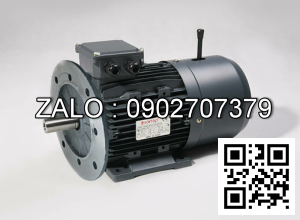 Motor giảm tốc WANSHSIN mặt bích 10 HP 7500W đầu cốt lòi 50mm , tỉ số truyền 5-10