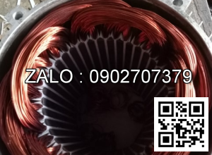 Quấn motor và thay phao áo (GC)