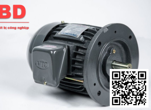 Motor 3 pha 3HP Yung Shun