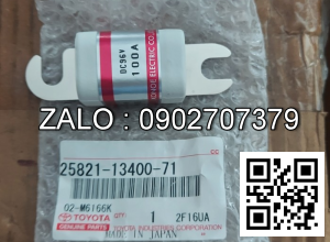 FUSE 100 AMP 25821-13400-71 TY