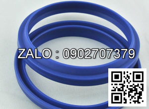 Phốt DHS 100x110x6/8 100*110*6/8