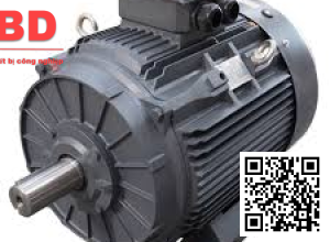 Motor điện 3 pha 3KW - 4HP 2 cực điện