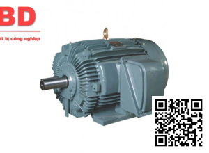 Motor điện 4 dây 30kW - 40HP