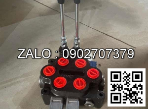 Bộ chia Thủy lực công nghiệp 2 tay 2P50