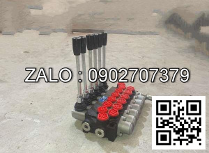 Bộ chia Thủy lực công nghiệp 6 tay 6P80