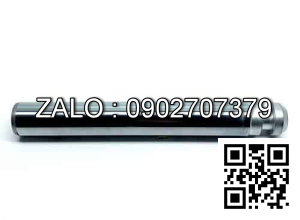 Ty bơm xe nâng tay 20x99