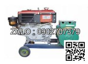 Máy phát điện đầu nổ D10/5kw/220V mát gió