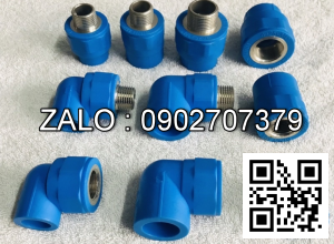 Co ren trong thau PP-R dn20X1/2