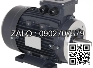 Motor giảm tốc WANSHSIN Chân đế 7.5 HP 5500W đầu cốt lòi 50mm , tỉ số truyền 31-60