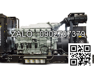Máy phát điện HIMOINSA HRVW-400 T6