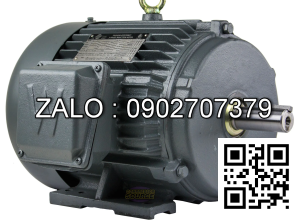 Motor điện 1 pha 0.55KW 2 tụ nhanh tua