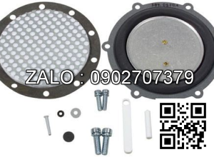 KIT-VACUUM W/SILICONE REPAIR 16455-VFF30 NI
