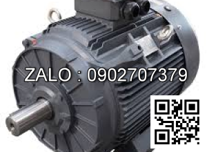 Motor điện 3 pha 132KW - 180HP 2 cực điện