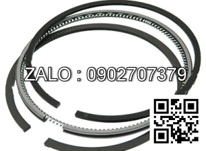 Bạc xéc măng động cơ DEUTZ TD2009L04 , 4 CYL , CM3