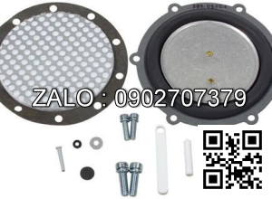KIT-VACUUM W/SILICONE REPAIR 16455-VFF30